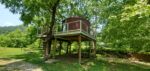 Abi's Arboreal Abode & Hammock Haven (Tree-Yurt)