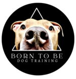 Born to Be logo