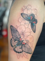 The Aviary Tattoo Shop LLC