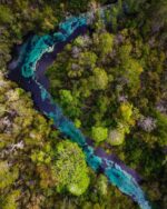 Weeki Wachee River, Florida