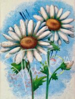 “Cover Me In Dasies” Decoupage Paper