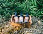 Oils for pets and pet parents