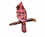 “Cardinal” Decoupage Paper