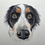 Teri Goetz Art